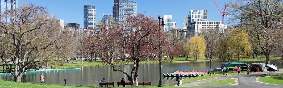 Park in Downtown Boston (Public Domain | Pixabay) Public Domain
Informazioni sulla licenza disponibili sotto 'Prova delle fonti di immagine' Park in Downtown Boston (Public Domain | Pixabay) Public Domain
Informazioni sulla licenza disponibili sotto 'Prova delle fonti di immagine'